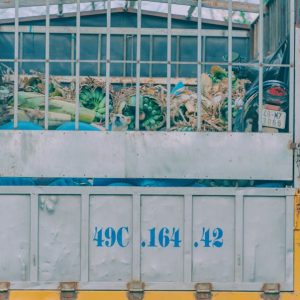Transporte a Temperatura Controlada (Frutas y Verduras)